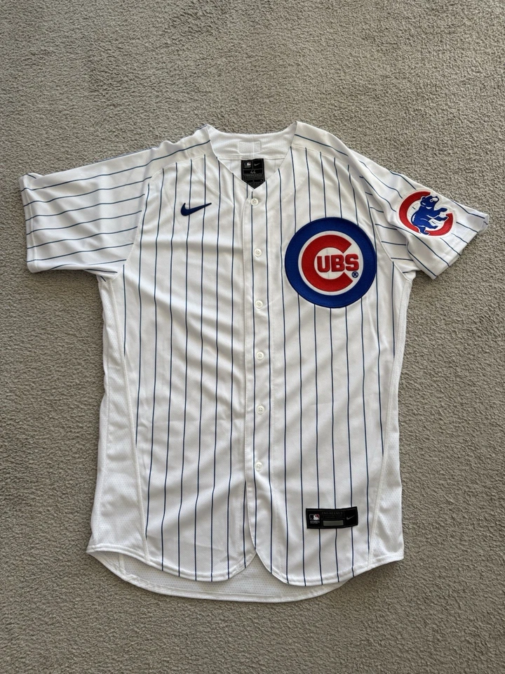 Camiseta Ernie Banks #14 Chicago Cubs Nike Elite Home Base Flexible a Rayas, Talla 44 Foto 2 de 4