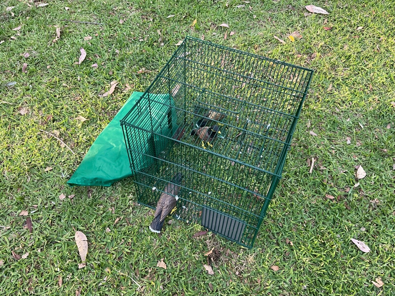 Picture 14 of 24