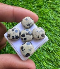 Natural Dalmatian Jasper 10mm Cushion Shape Cabochon 5pcs Loose Gemstone Lot
