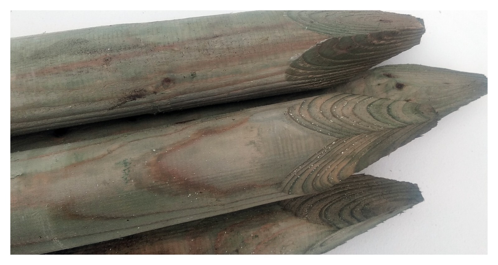 20 X WOODEN TREATED FENCE POSTS OR TREE STAKES 1.2m (4ft) x 50mm dia