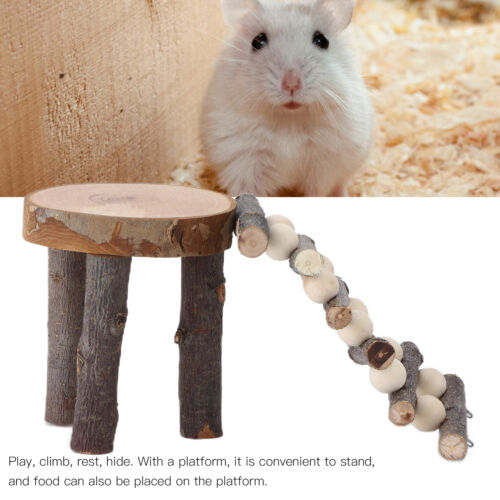Échelle d'escalade plate-forme hamster pont d'escalade en bois échelle rampes jouets à faire soi-même ☯ - Photo 1 sur 22