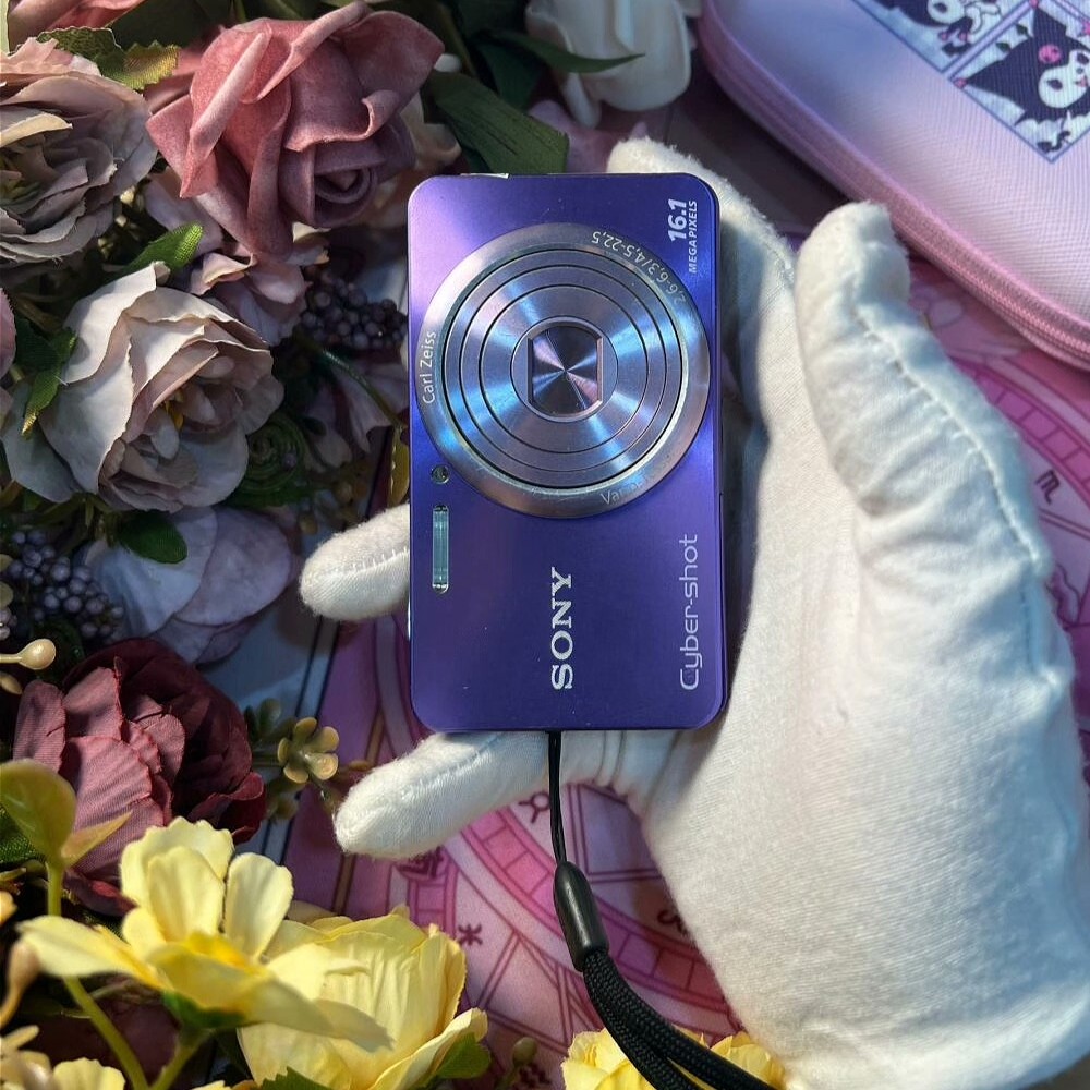 SONY Cyber-shot DSC-W570 コンパクトデジタルカメラ#74 Amazon.com : Sony Cyber-Shot DSC-W570 16.1 MP Digital Still Camera
