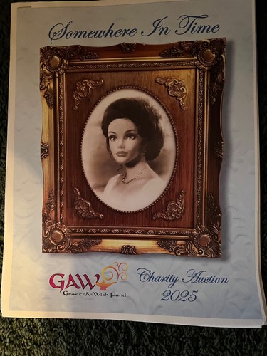 2025 Grant A Wish Barbie Convention Doll & Comp Package #223 - Bild 7 von 9