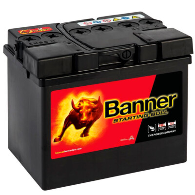 53034 Banner Caterham Batterie 12v 30ah online kaufen | eBay