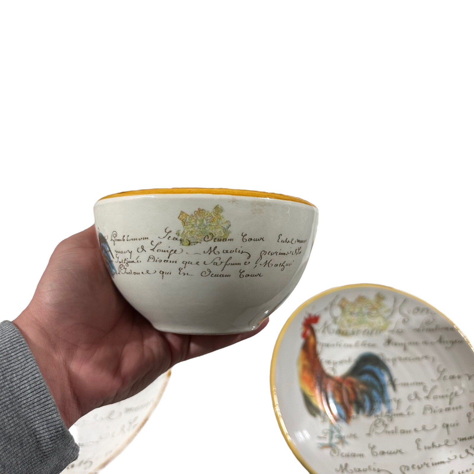 WilliamsSonoma Made in Italy 8 Pieces Rooster Pasta Bowls 14”x2, 10”x3