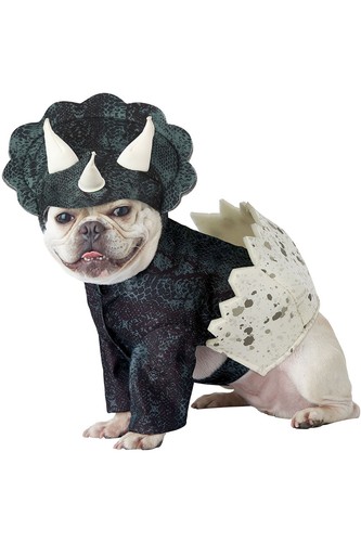 Dog Halloween Costume Dinosaur Body with Egg and Headpiece Horns PET20159 SIZE:L