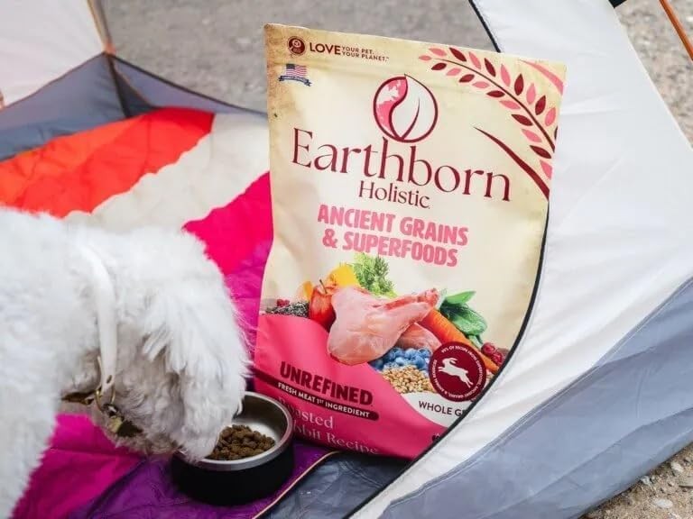 Target Grain Inclusive Dog Food With Rabbit Salmon Omega 3 Nutrition 1 Count Bag