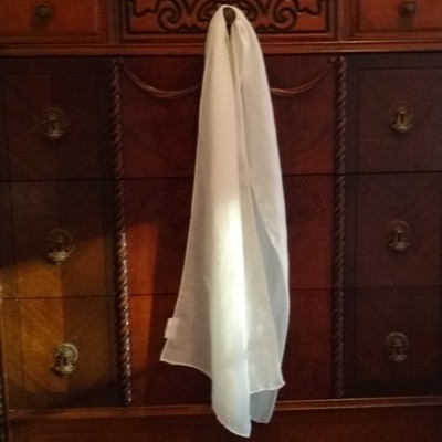 Grade A Silk & Wool Blend WHITE 11 x 56 Diagonal Weave Oblong Scarf NEW!