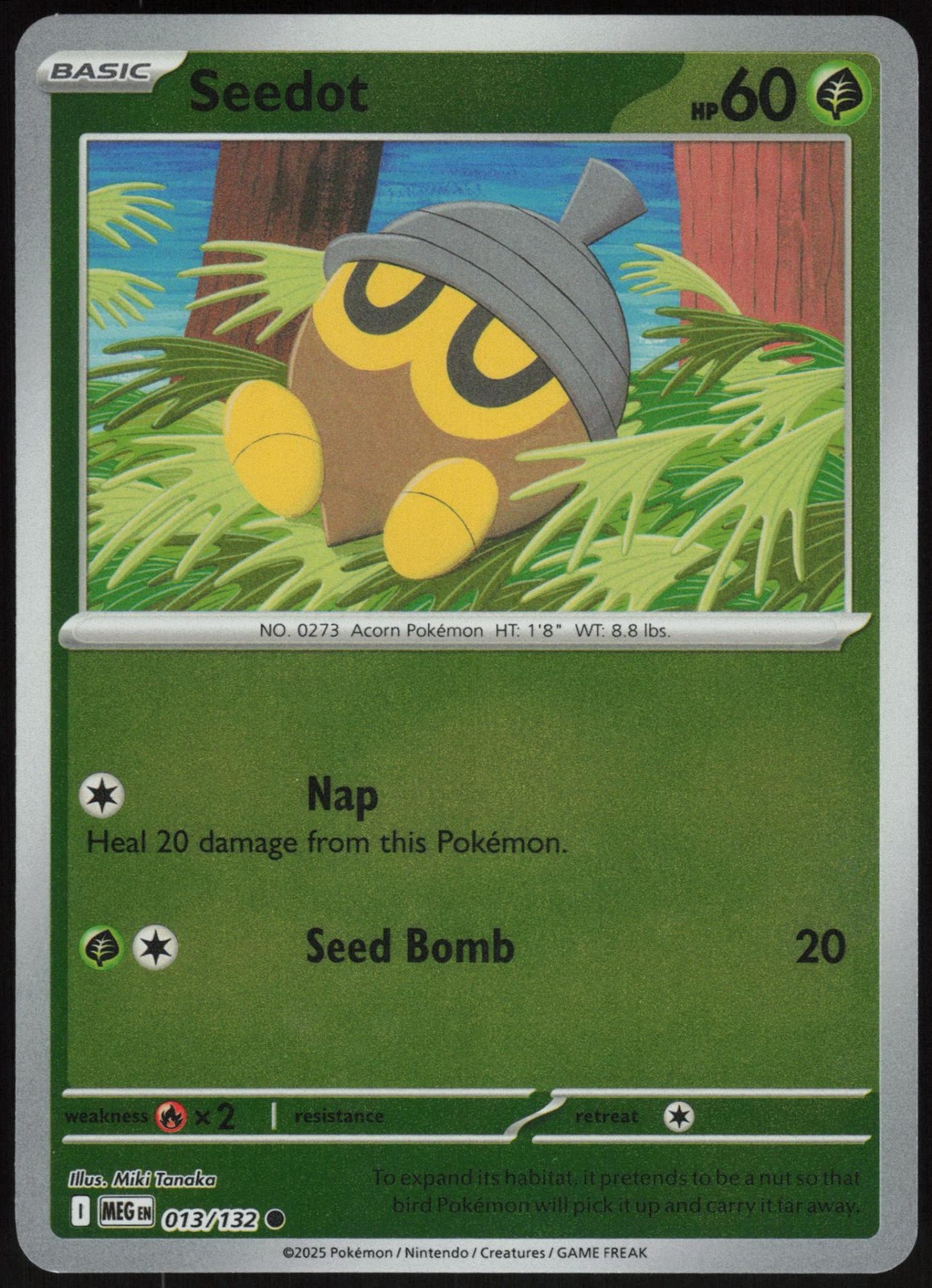 Seedot 013/132 Common Mega Evolution Pokemon Reverse Holo Near Mint