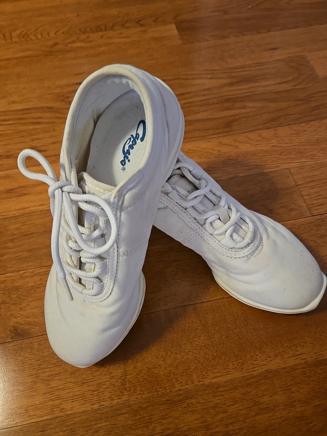 Capezio Women's Ds11 Fierce Dance Sneaker: Size 5M:  Brand N