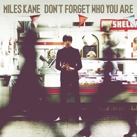 Don't Forget Who You Are (180G) (10Th Anniversary) (Limited Numbered Edition)...
