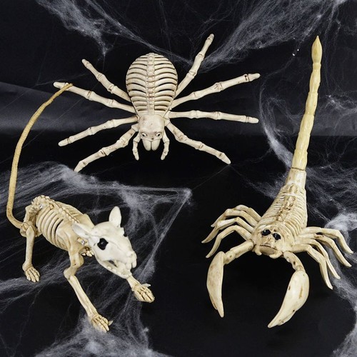 Fake Skeleton Bat Rat Spider Animal Party Prop For Halloween Party Supplies NEW - Bild 8 von 15