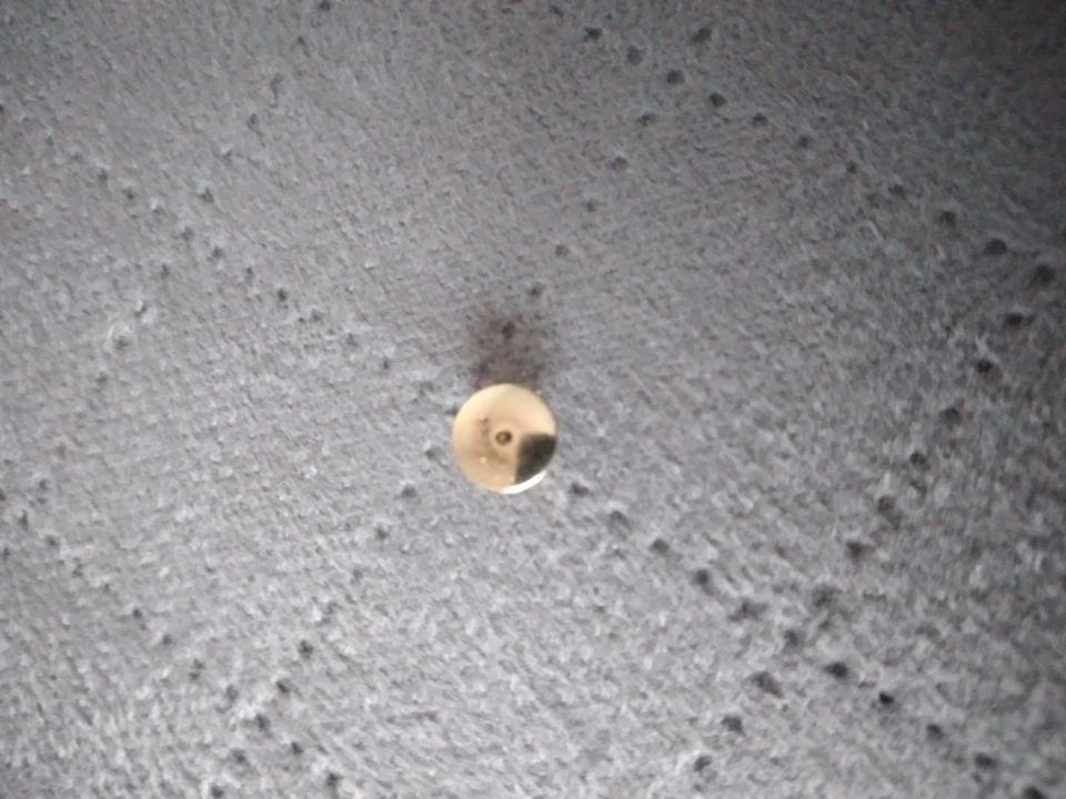 Ohrstecker 585 Gold Koralle. - Bild 4 von 4