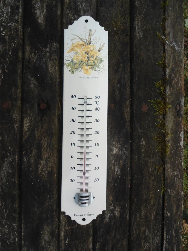 THERMOMETRE METAL EMAILLE JARDIN MAISON NEUF GIROLLES EMAIL VERITABLE FAB FRANCE - Photo 1/1