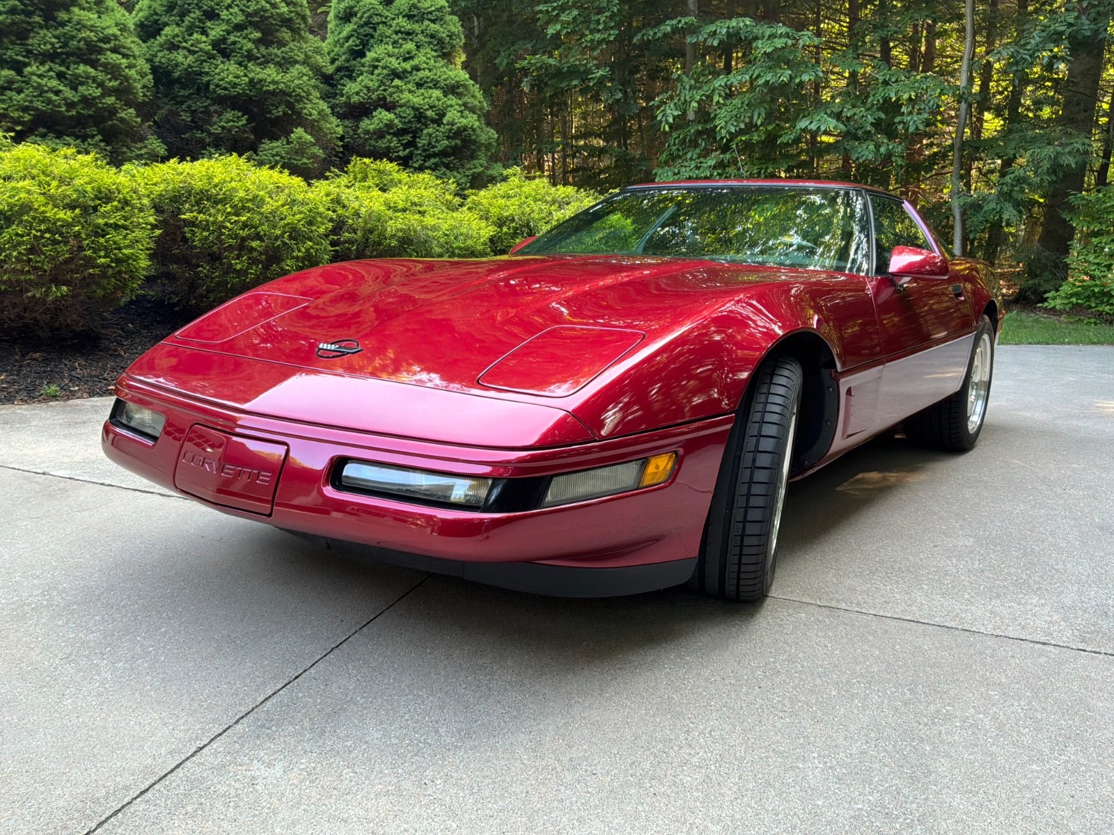 1995 Chevrolet Corvette for sale in Muskegon Michigan
