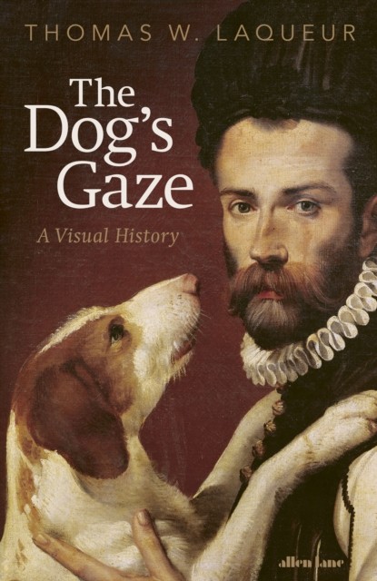 Dogs Gaze