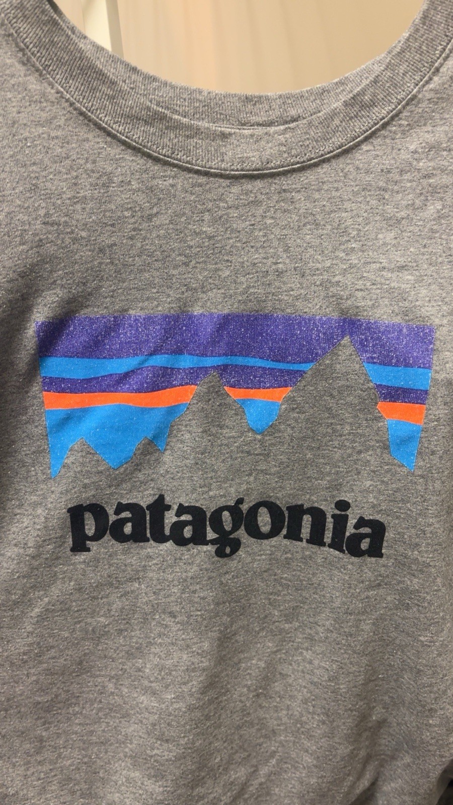 Patagonia Men's T-Shirt XL