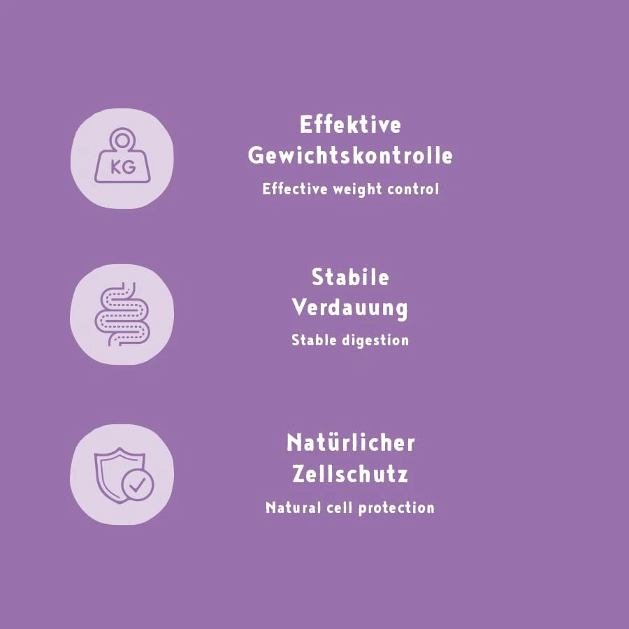 Hundefutter Bosch My Friend Senior & Light Trockenfutter 12kg - Bild 3 von 4