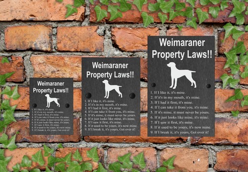 Property Laws Funny Dog Slate Gate House Sign 3 Sizes ALL BREEDS AVAILABLE M-Y - Picture 46 of 57