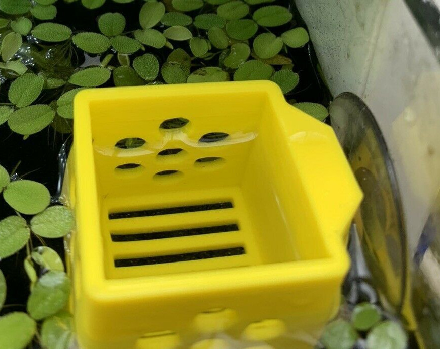 Floating Feeding Cup For Frozen Fish Food - Holds Daphnia, Bloodworm, Brine Shrimp (Aquarium & Pond)