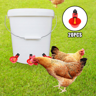 20 PCS Automatic Water Cups Poultry Drinker Waterer Chicken Duck Quail Drinking