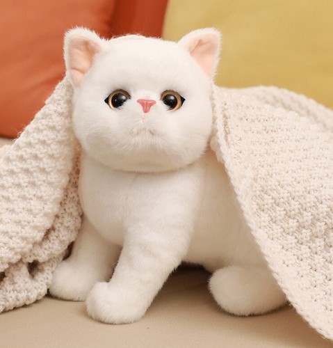 Peluche gatto bianco 10 pollici peluche bambola bambini regali - Foto 2 di 11