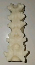 New Halloween Threshold Vertebrae Spine Bone ...