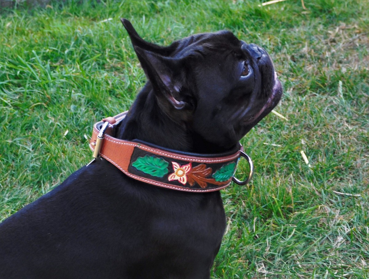 Bouquet Hundehalsband Leder – Blumen-geprägtes Halsband Mit Weicher Unterlage, Größe XL (Halsumfang Ca. 57-63 Cm)