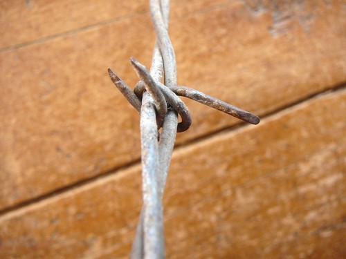 UPHAMS AUSTRALIAN LOOP & LOCK STAPLES - LIGHTWEIGHT BARBS - ANTIQUE BARBED WIRE - Picture 4 of 7