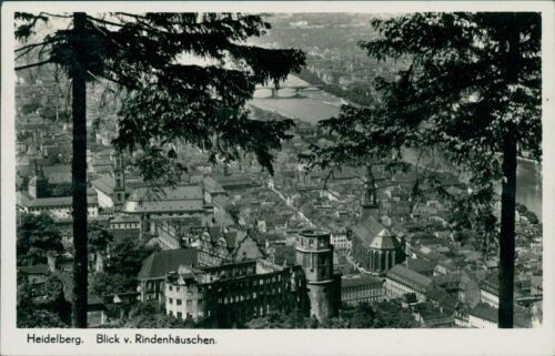 Ansichtskarte Heidelberg Blick v. Rindenhäuschen  (Nr.9006)
