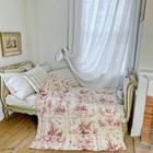 54x61 Toile de Jouy small quilt Provencal boutis 1870 hand quilted French count