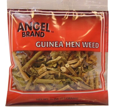 Angel Brand GUINEA HEN WEED Tea Anamu Tipi Mucura Apacin Hoja de zorrillo 14g