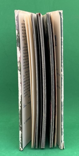 Vintage Ladybird Book Series 536 - Second Book British Birds - Buff Cover DJ 2’6 - Picture 4 of 24