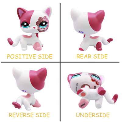 LPS Toy Dog Shorthair Cat #2291 with Cute Pink Accessories Girl