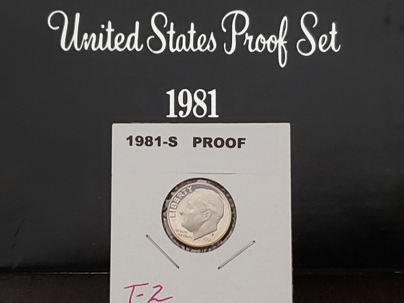 1981~S TYPE ~2~ ROOSEVELT DIME SUPERB ~CAMEO FROM MY PROOF SET IN PROTECTOR 2X2