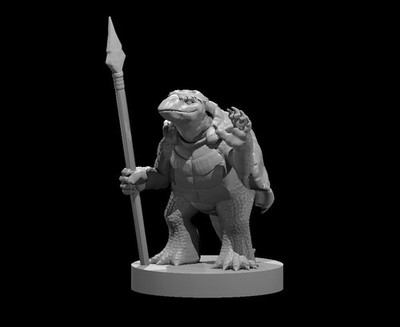 Kappa Tortle Turtle Monk Adventurer NPC 28mm Scale DND D&D Tabletop Mini