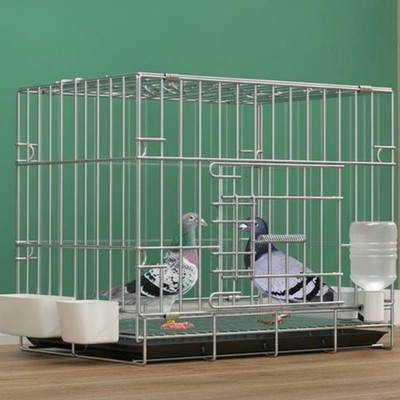 Foldable Pigeon Enclosure for Breeding and Feeding