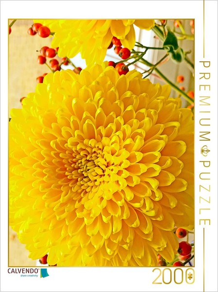 Calvendo Puzzle Yellow Chrysanthemums | 2000 Pieces, Finished Size 35.4 × 26.4 I-image