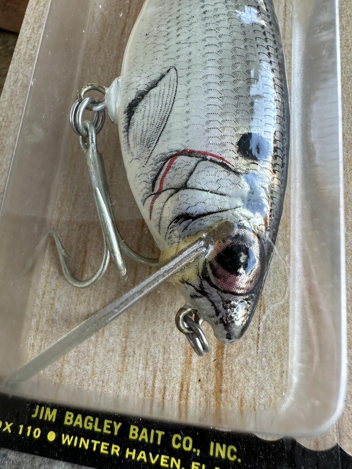 Vintage Bagley Small Fry Shad Striper Size Tough Fishing Lure BEAUTIFUL