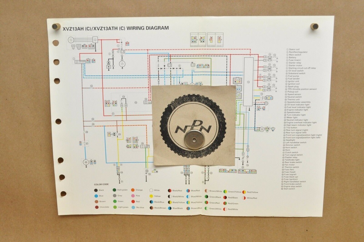 チェロ　ヤマハ 弦楽器】チェロ 展示機種のご紹介｜島村楽器 名古屋則武新町店