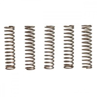 Kupplungsfeder VerstäRkt (5Stk) EBC CSK110 FüR Kawasaki VN 2000 A Bj. 2004-2008