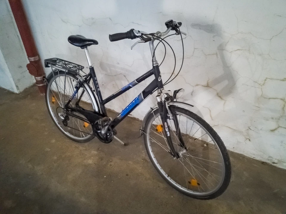 Damen Fahrrad Tourenrad Trekkingrad Hercules Malibu, 21 Gang Shimano, 53RH, TOP - Bild 3 von 4