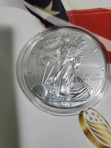 2015 W .999% Silver American Eagle Dollar Burnished Beauty In Original Packaging
