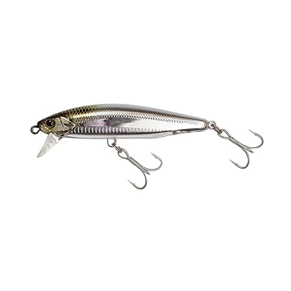 Jackall Bigbacker Anchopeed 84 Cho Sagoshi Silver sea bass lure Stylish angl FS