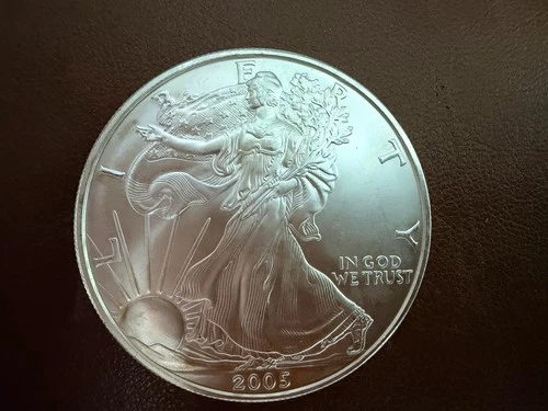 2005 American Silver Eagle 1 Ounce Fine .999 Silver BU Encapsulated