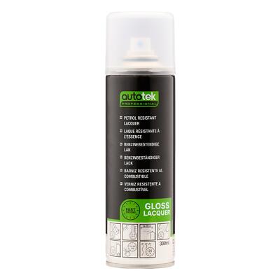 Autotek schnelltrocknender Aerosol-Sprühlack Decklack benzinbeständiger Lack 300 ml