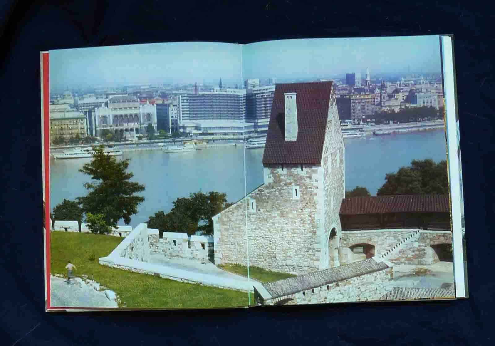 Picture 8 of 12