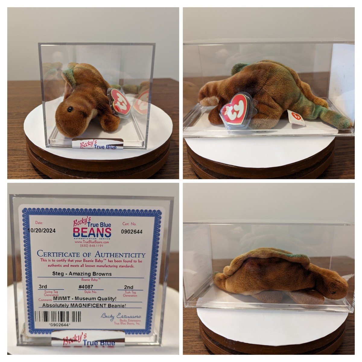 Steg Authenticated Beanie Baby 3rd 2nd Gen MWMT MQ