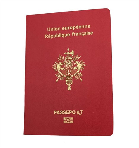 North Korea Passport Notebook Imitation Travelling Diary Journal Student Gift - Picture 15 of 40