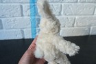Bild 6 von 8